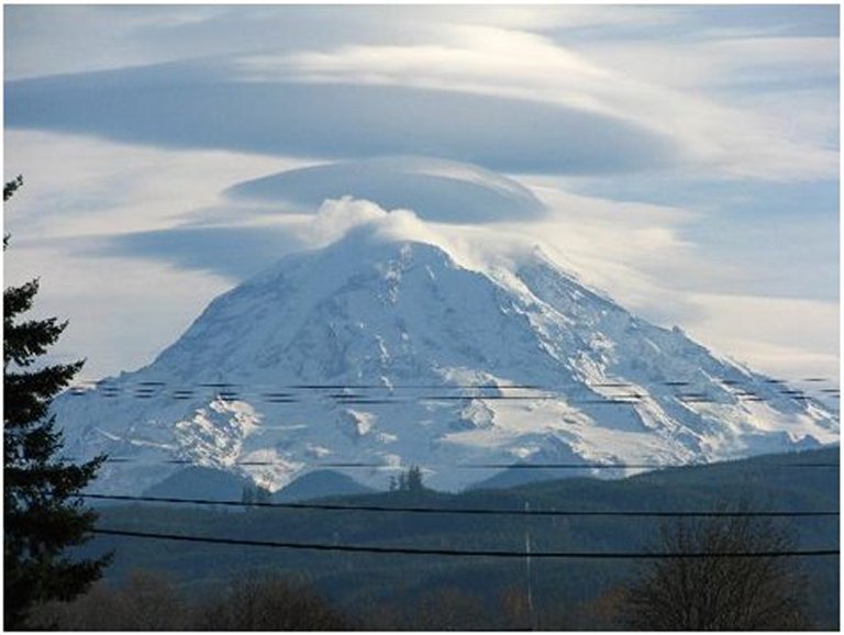 Lenticular04.jpg