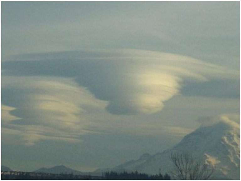 Lenticular05.jpg